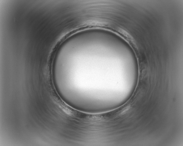 X0000069401027200605151013