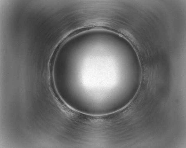X0000069401031200605151013