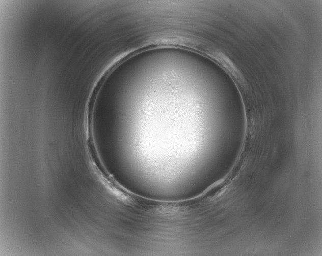 X0000069401036200605151013
