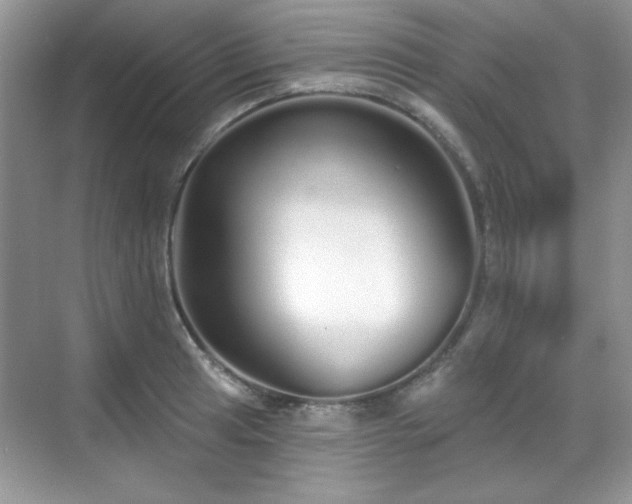 X0000069401041200605151013