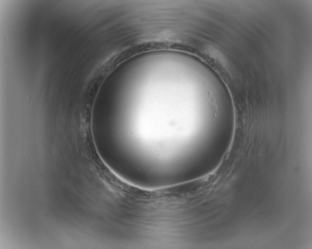 X0000069401064200605151013