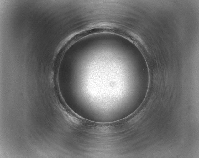 X0000069401066200605151013