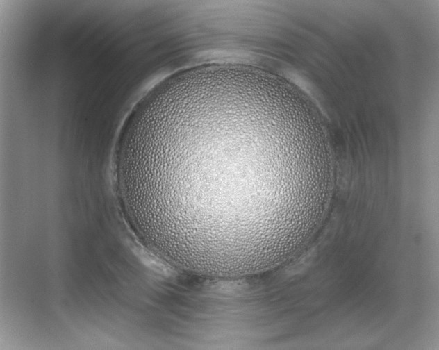 X0000069401074200605151013