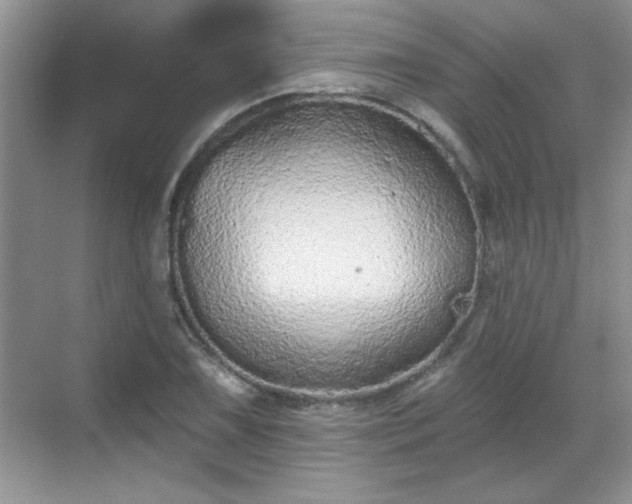 X0000069401075200605151013
