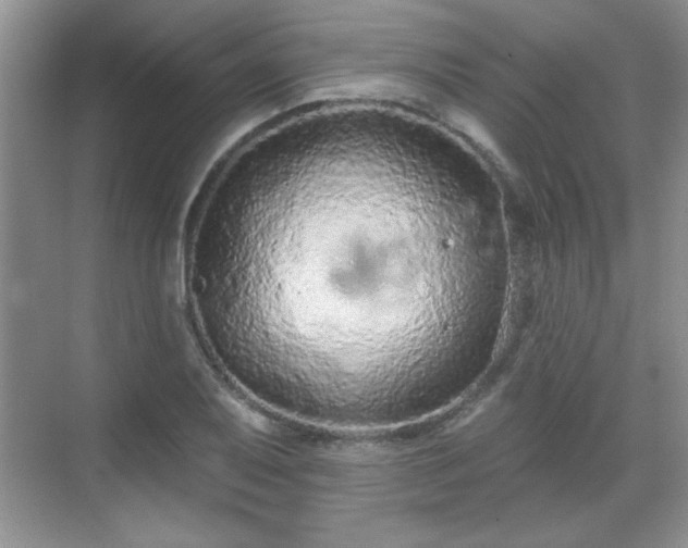 X0000069401079200605151012