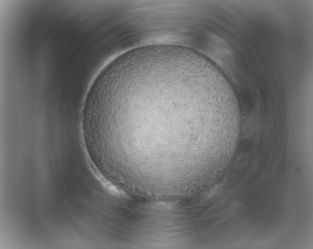 X0000069401086200605151012
