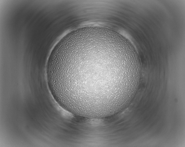 X0000069401090200605151012