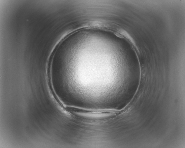 X0000069401091200605151012