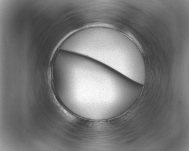 X0000069401092200605151012