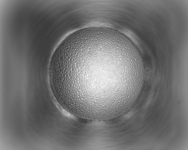 X0000069401094200605151012