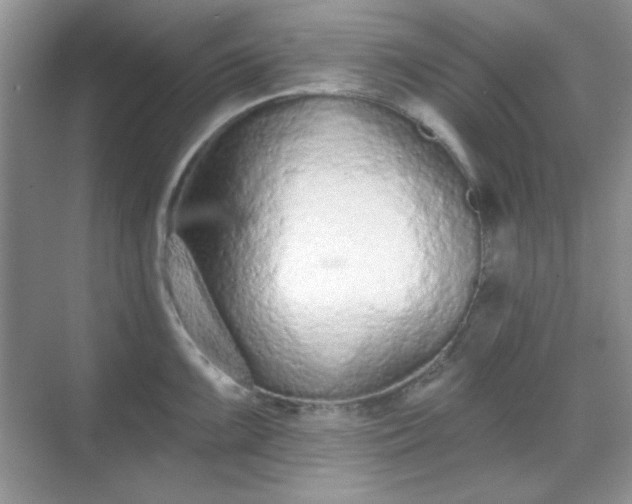 X0000069401099200605151012