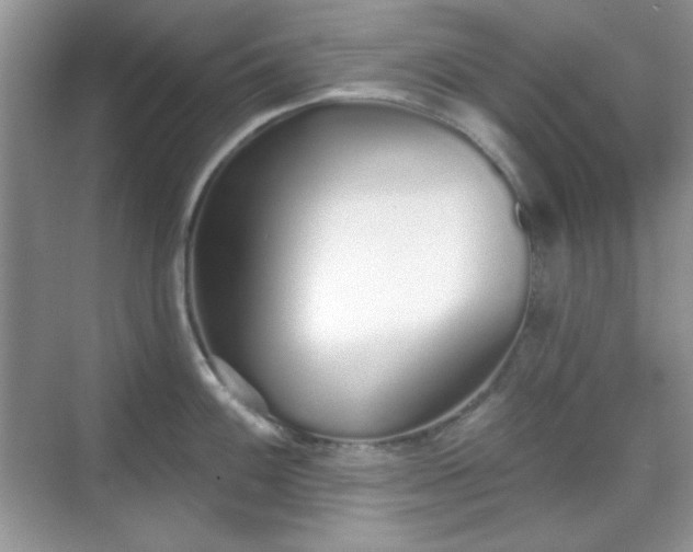 X0000069401100200605151012