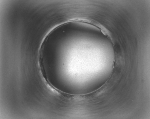 X0000069401102200605151012