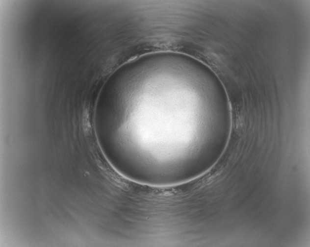 X0000069401106200605151011
