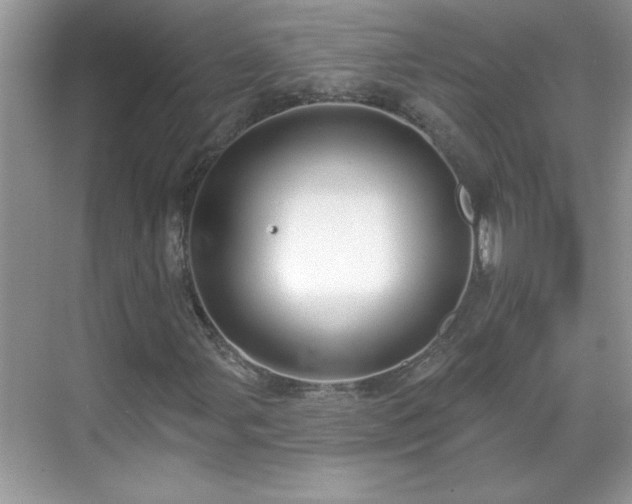 X0000069401107200605151011
