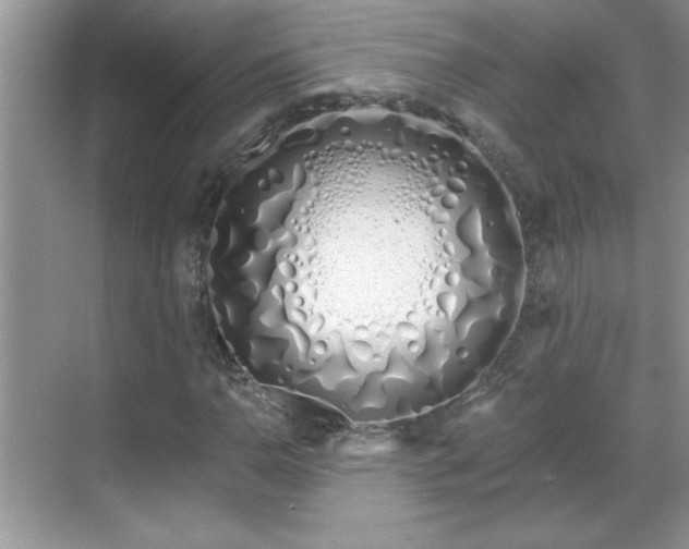 X0000069401110200605151011