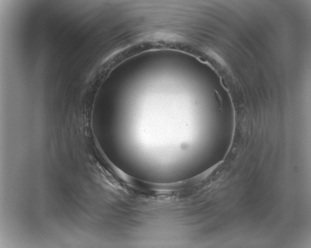 X0000069401112200605151011
