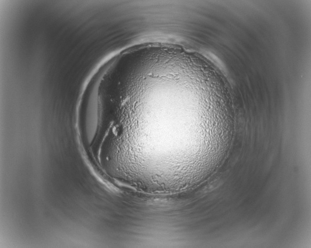 X0000069401128200605151012