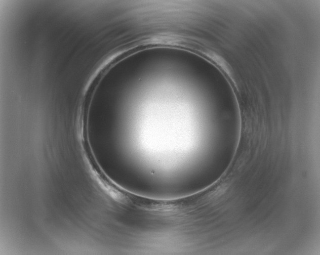 X0000069401131200605151012