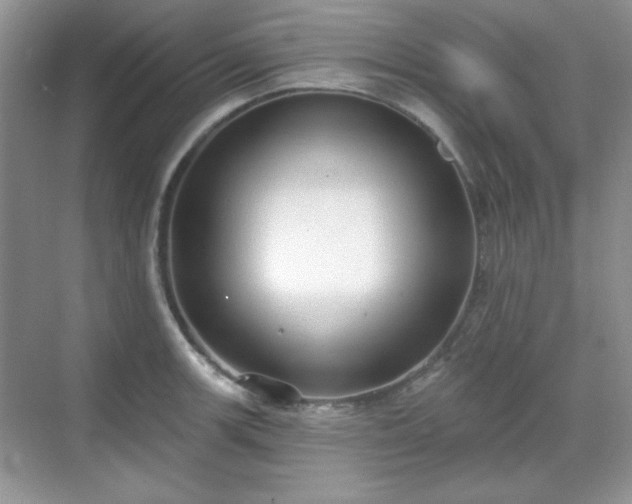 X0000069401139200605151012
