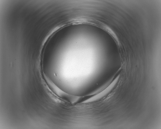 X0000069401146200605151012