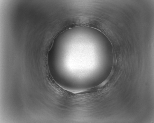 X0000069401153200605151011