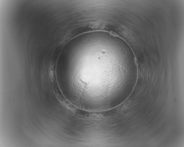 X0000069401154200605151011