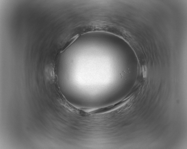 X0000069401155200605151011