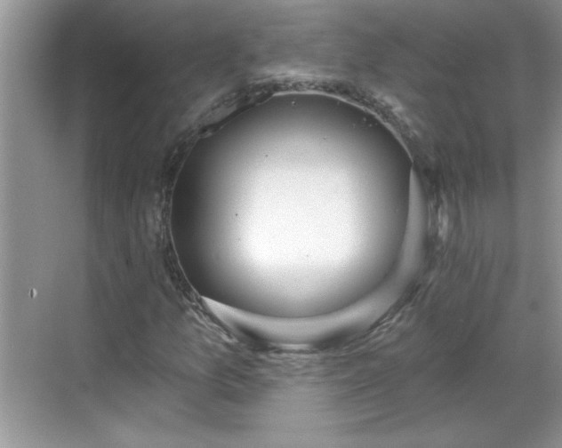 X0000069401157200605151011