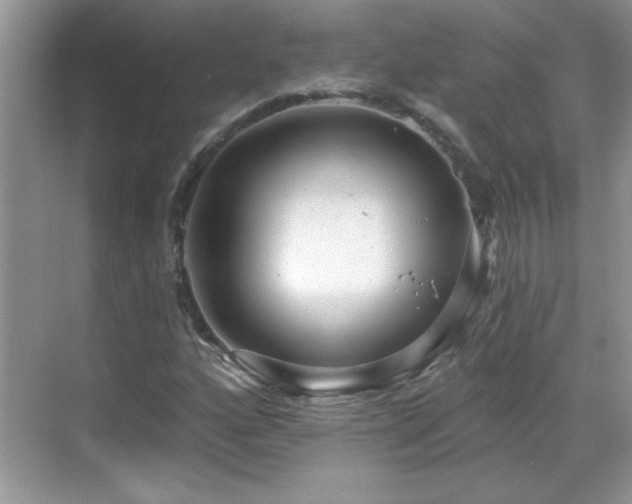 X0000069401160200605151011