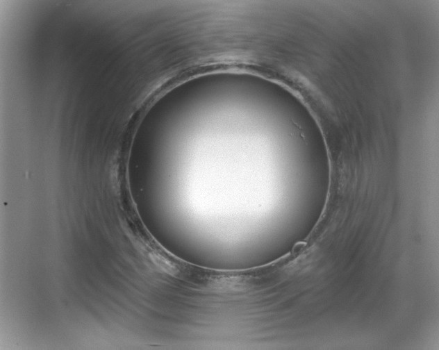 X0000069401162200605151011