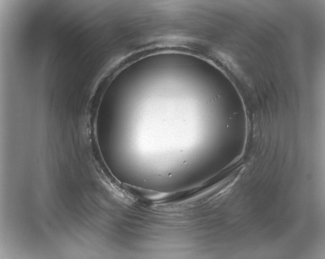 X0000069401164200605151011