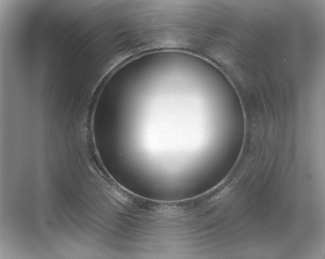 X0000069401170200605151011