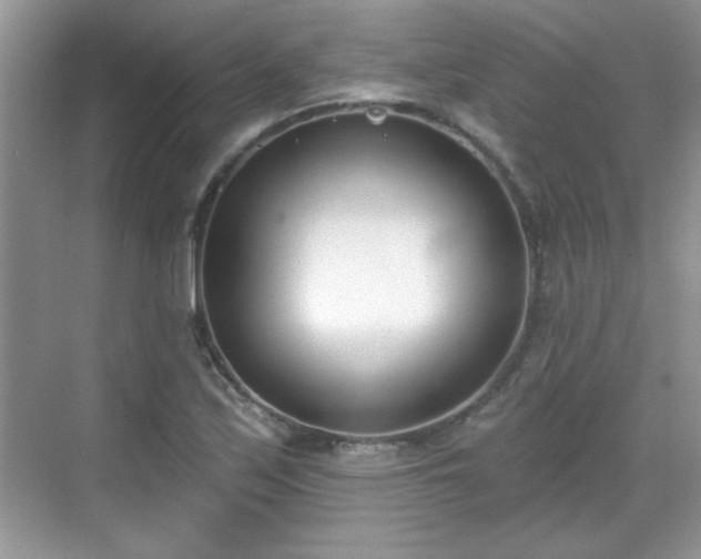 X0000069401171200605151011
