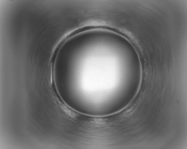 X0000069401175200605151011
