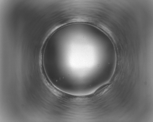 X0000069401179200605151011