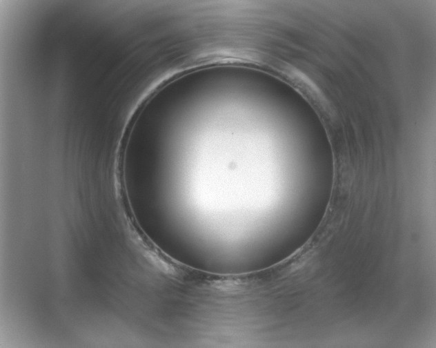 X0000069401182200605151011