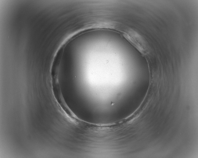 X0000069401184200605151011
