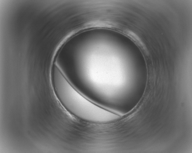 X0000069401188200605151011