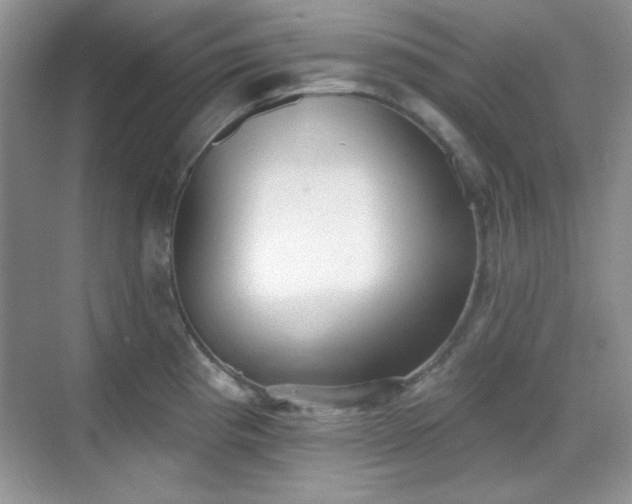 X0000069401193200605151011