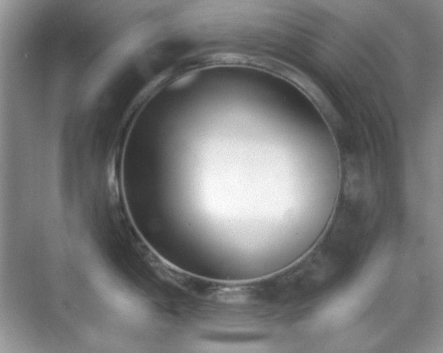 X0000069401198200605151010