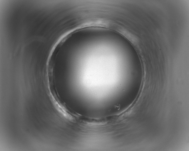 X0000069401200200605151010