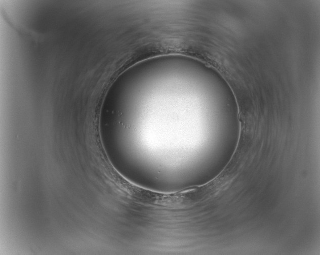 X0000069401201200605151010