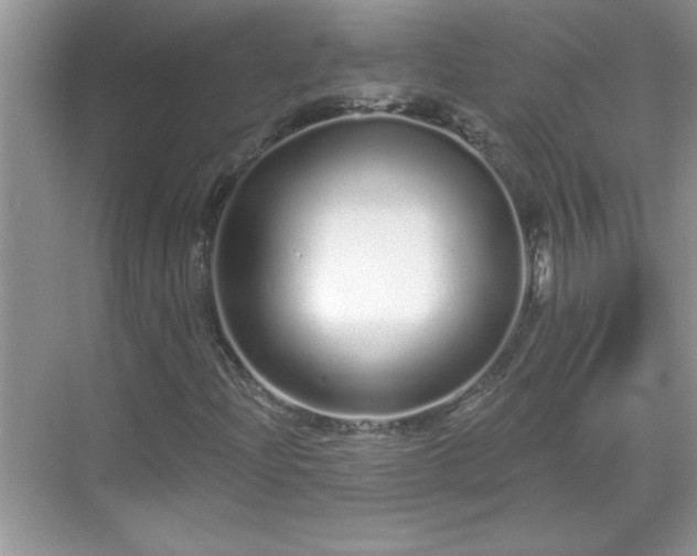 X0000069401204200605151010