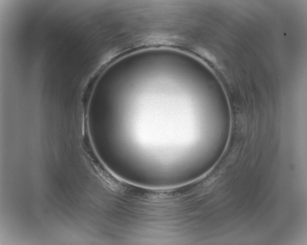 X0000069401219200605151010