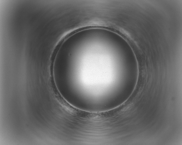 X0000069401222200605151010