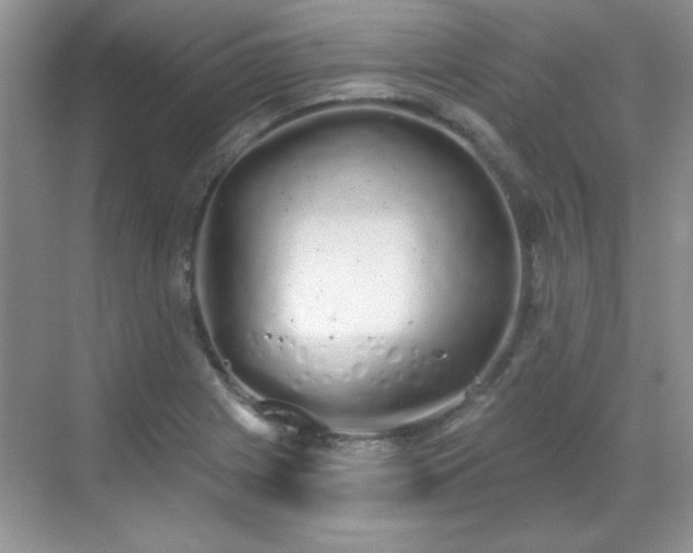 X0000069401225200605151010