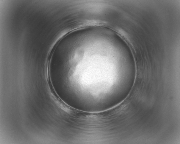 X0000069401227200605151010