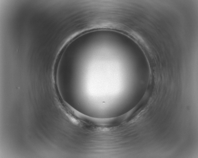 X0000069401230200605151010