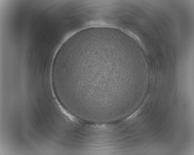 X0000069401231200605151010